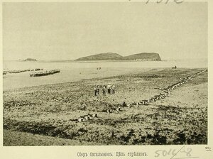 Сбор батальонов эскадренного десанта на берегу; на первом плане - цепь стрелков