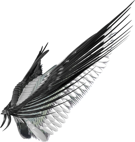 Крылья и перья