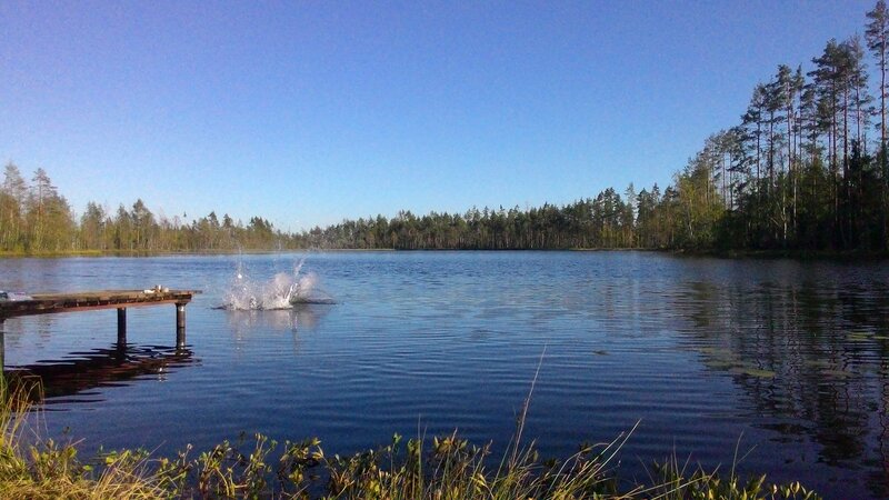Через какое озеро была. Озеро Малукса. Малукса 2 озеро. Малукса Ленинградская область. Старая Малукса озеро.