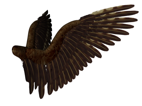 Крылья и перья