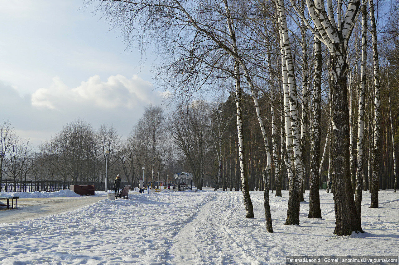 Зима в сквере Фестивальный