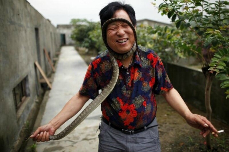 «Змеиный город» в Китае: как разводят и готовят ядовитых съедобных змей