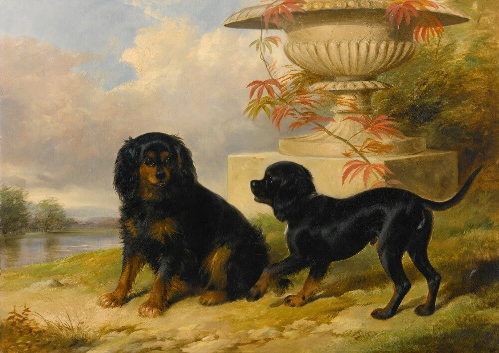 William Barraud (English animal painter and illustrator,1810-1850)..jpg
