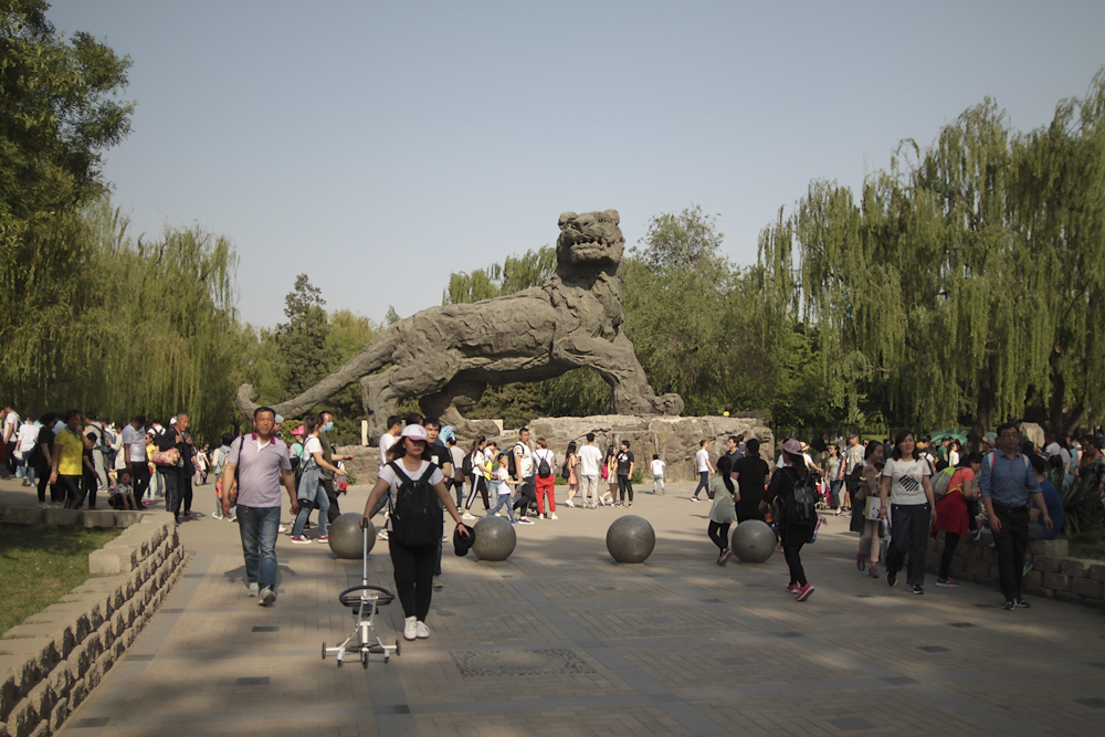 Китай, Пекин, зоопарк