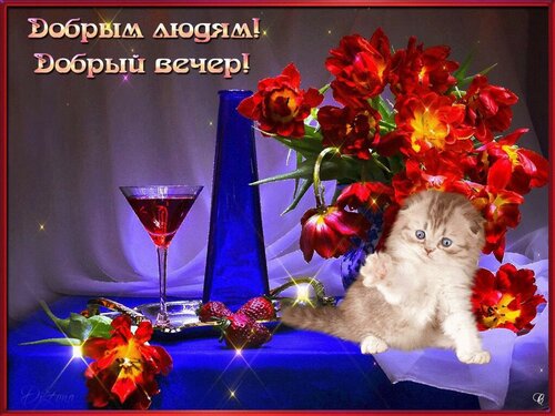 Великолепная открытка «Доброго вечера» с котёнком онлайн - Самые красивые и оригинальные живые открытки для любого праздника для вас
