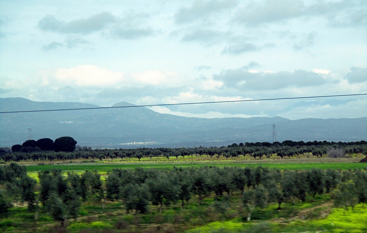 La Mancha landscapes