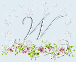 Flores y Mariposas 0_18213c_b4aefd8b_L