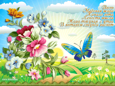 Открытка июнь бабочка лето открытки фото рисунки картинки поздравления
