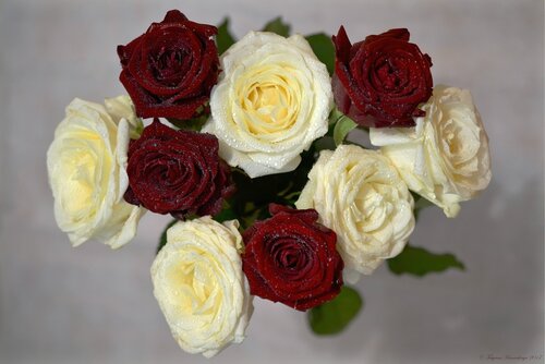 Розы для любимых ...