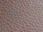 leather skin texture brown