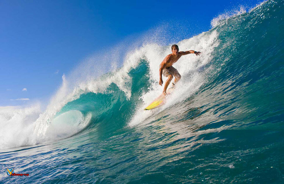 Surfer on Tropical Blue Wave