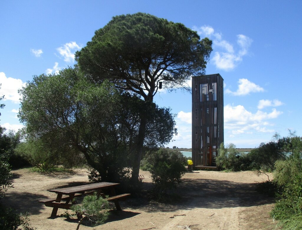 Pinar de la Algaida Natural park, Puerto Real