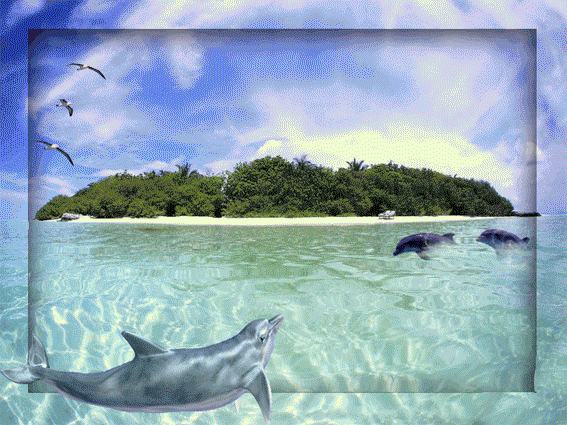 Прикольный анимационный фон с морем - Бесплатный красивый фон с морем для живой открытки
