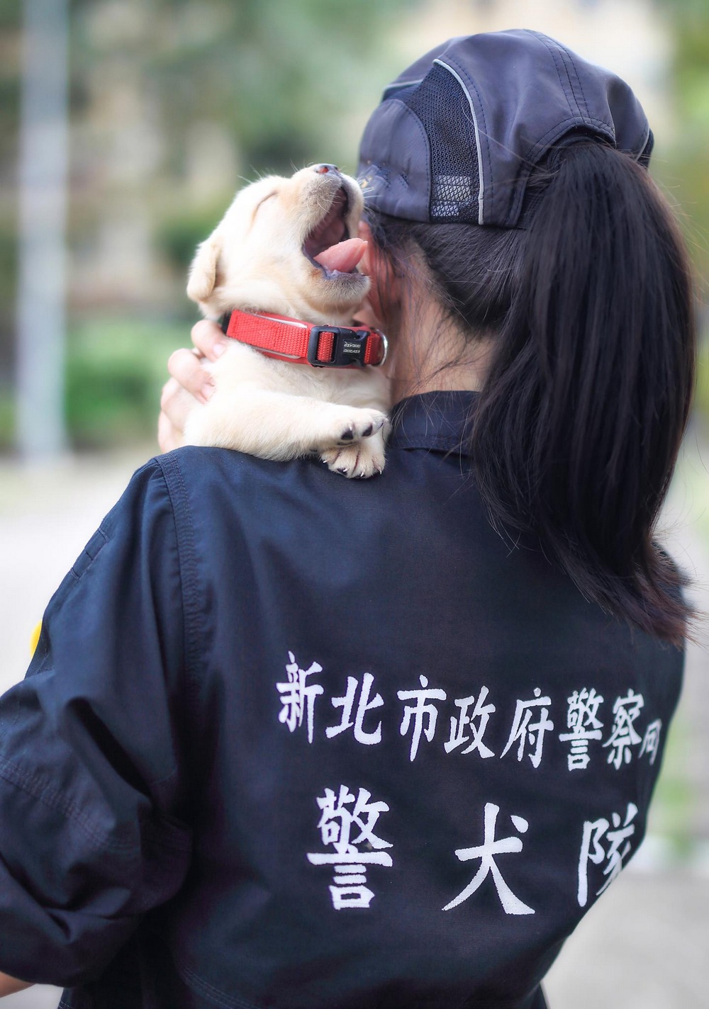 В полиции Тайваня появились новобранцы, обезоруживающие очарованием