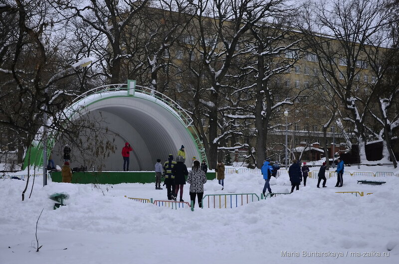 Снегобитва, Саратов, городской парк культуры и отдыха, 30 января 2016 года