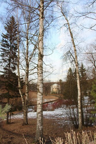 Павловский парк в марте