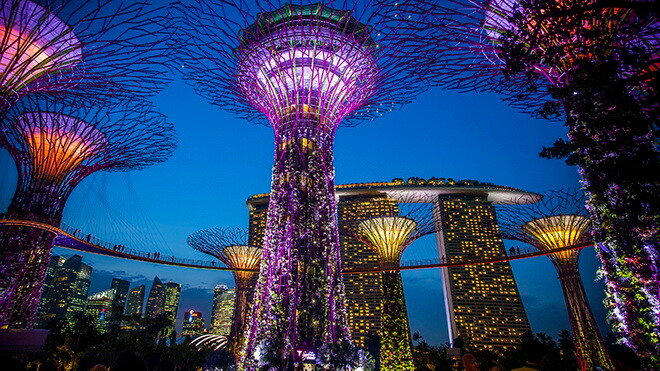 Парк «Сад у Залива».Сингапур