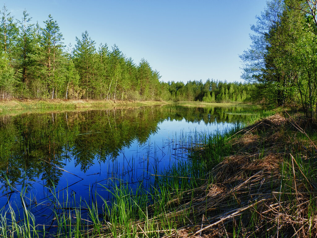 Люблю озера синие. Озеро Конан ер. Озеро Конан-ер Марий. Воронцова, озёра синие. Гляжу в озера синие.