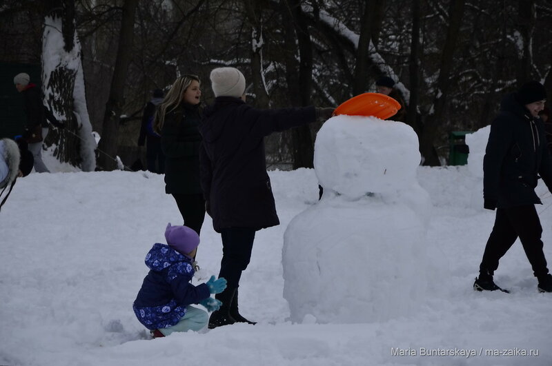 Снегобитва, Саратов, городской парк культуры и отдыха, 30 января 2016 года