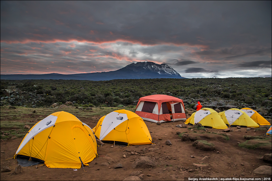 Быт во время восхождения Килиманджаро