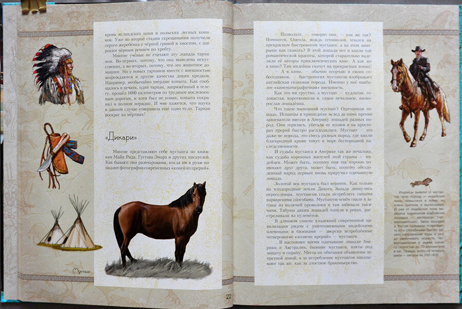 Истории лошадок. Рассказ о лошади. Книга удивительные лошади. Лошадь и человек история.
