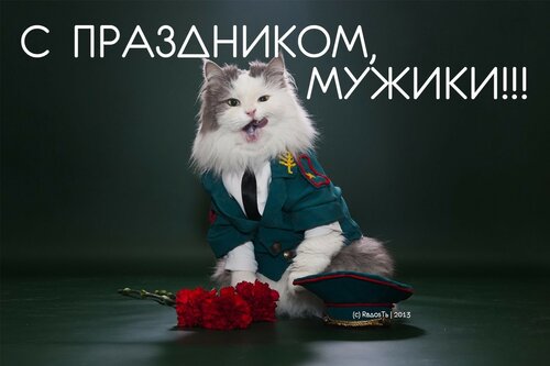 Открытка к дню защитника Отечества 23 февраля с котом. Самые лучшие живые открытки с Днём защитника отечества 23 февраля 2023
