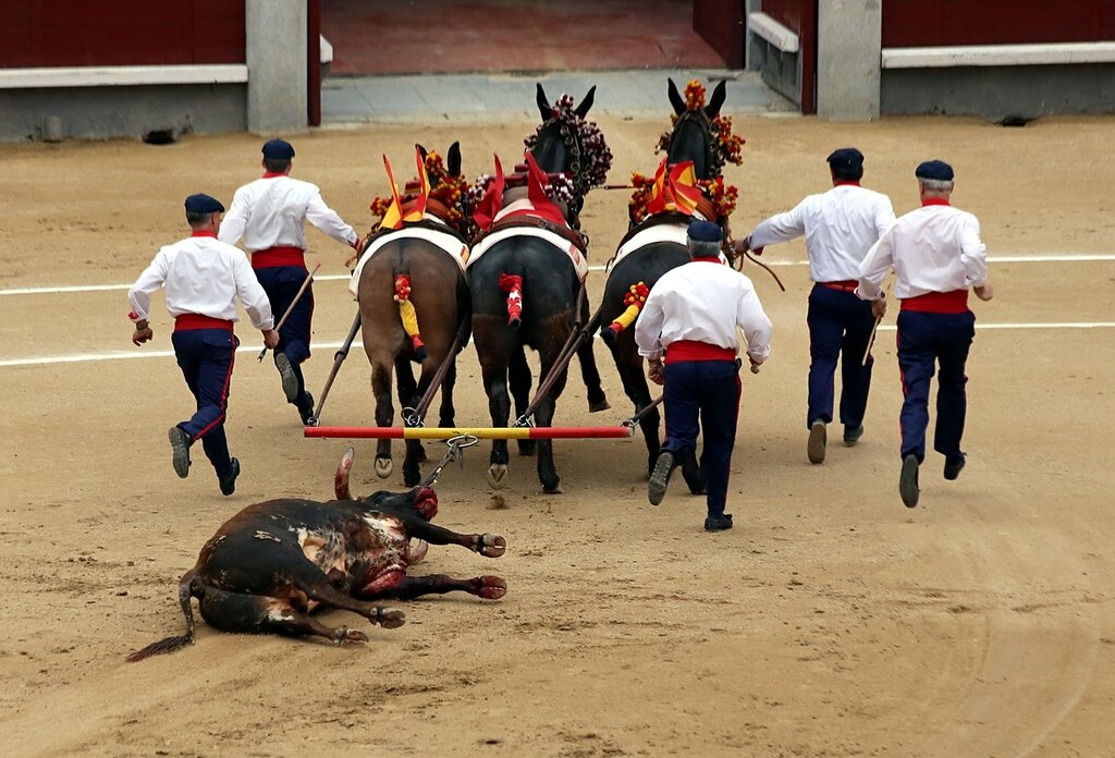 Madrid. Bullfighting