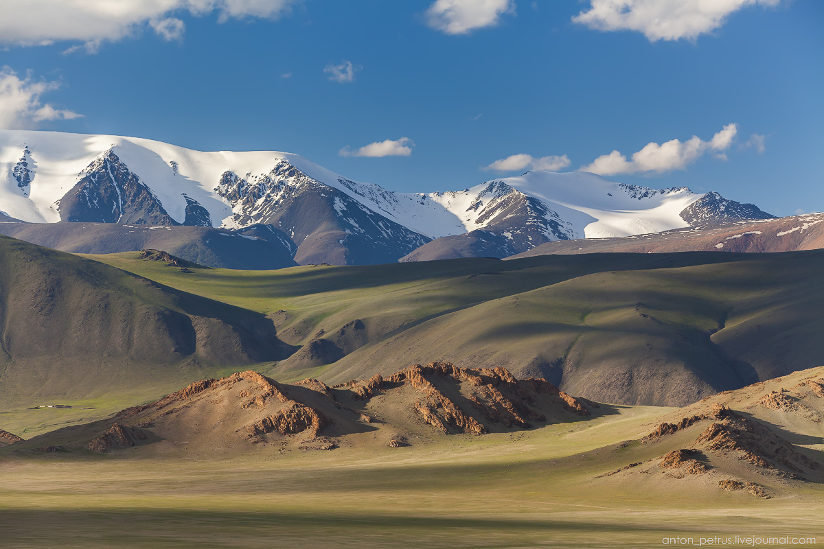 Зеленые холмы Монголии