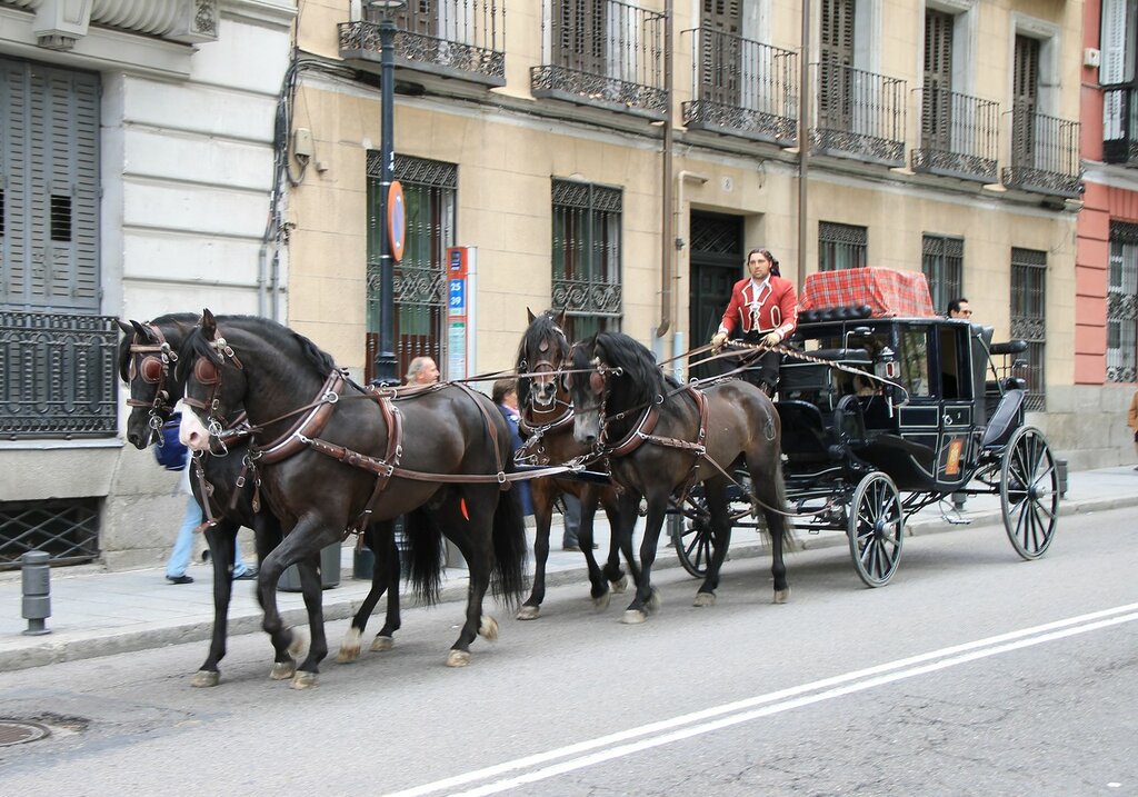 Historical reconstruction of the Madrid uprising of 2 may 1808