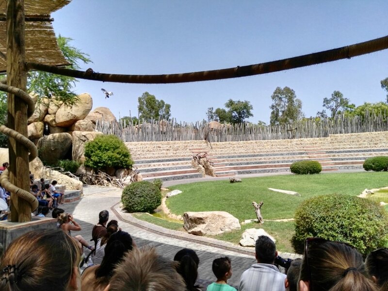 Зоопарк 21