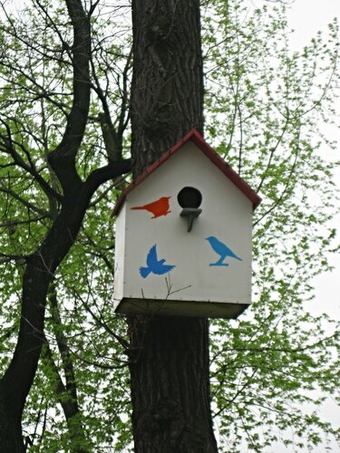 Птичий домик в парке