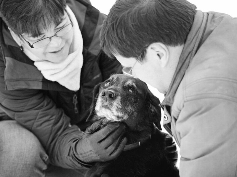 Фото: Хозяева прощаются с больными собаками перед усыплением любимцев