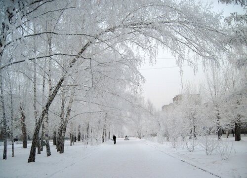Бульвар в снегу