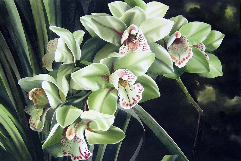 Акварельные орхидеи Alfredа Galura- Alfredа Galura