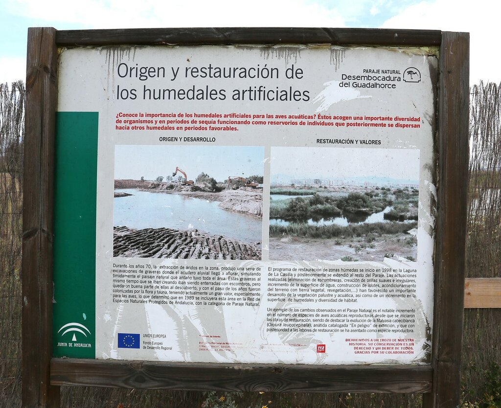 Малага. Природный парк в дельте Гвадалорсе (Paraje Natural Lagunas del Guadalhorce)