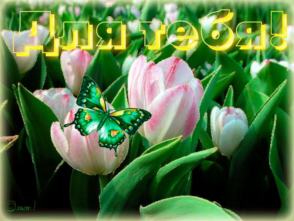 Доброго дня оля. Анимационные тюльпаны. Тюльпаны для тебя. Открытки тюльпаны для тебя. Мерцающие цветы тюльпаны.