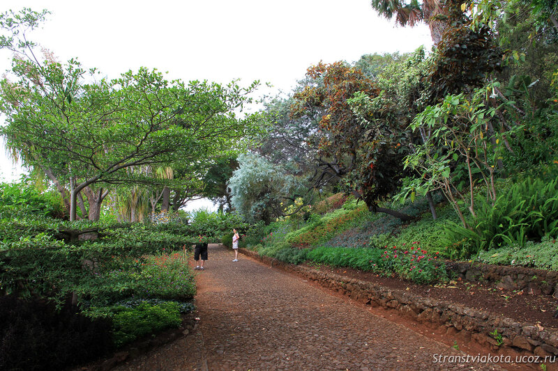 Мадейра, Фуншал, Ботанический сад