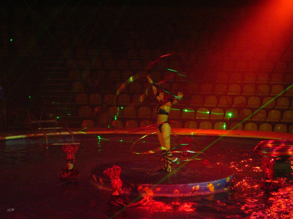 Цирк на воде чебоксары 2024 цена билетов