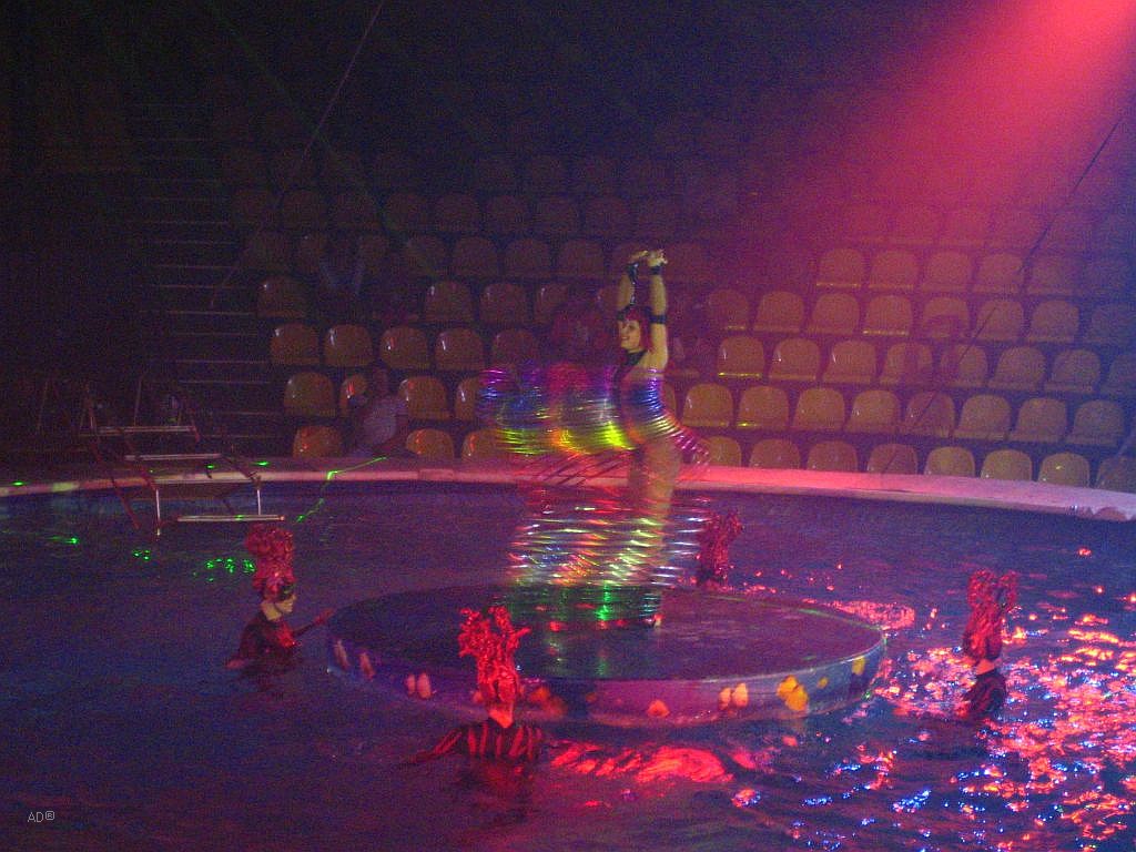 Цирк в томске 2024. Цирк на воде Нижний Новгород. Цирк на воде Ярцево. Цирк на воде Чебоксары 2024. Вьетнамский цирк на воде.
