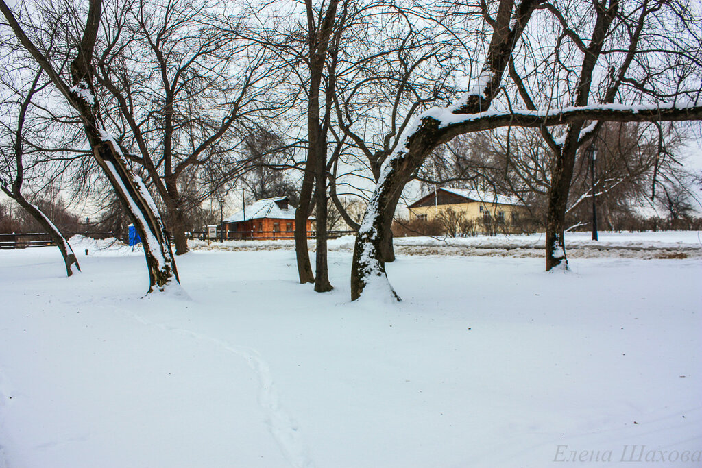Зима в Коломенском-27.jpg
