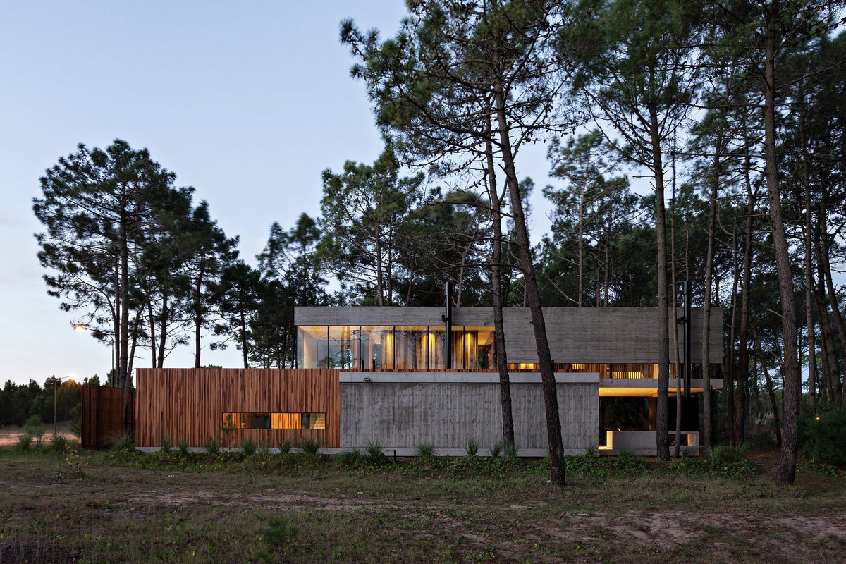 частный дом в лесу, дом в сосновом лесу, ATV arquitectos, дизайн проект дома фото, дом из бетона, интерьеры натуральное дерево