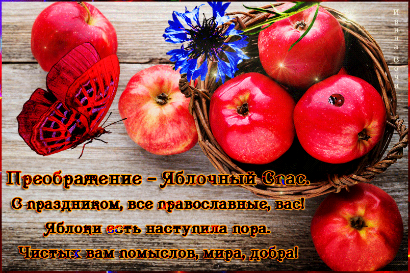 https://img-fotki.yandex.ru/get/370413/265560753.17/0_19b169_7c62c22c_orig
