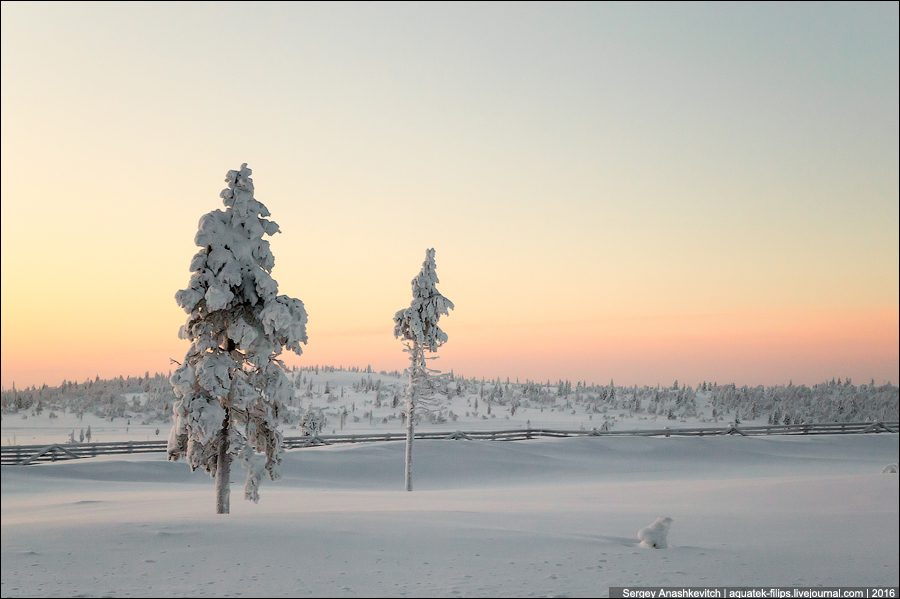 Winter in Lapland / Зима в Лапландии