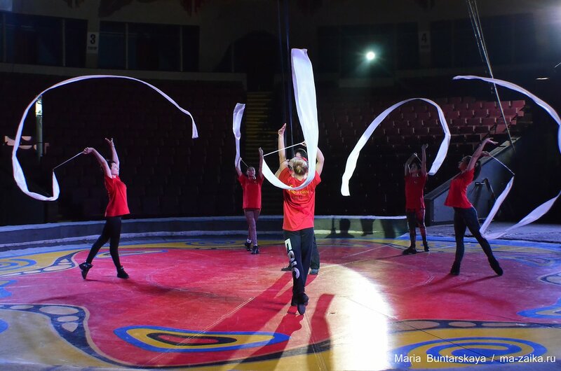 Легендарный цирк Филатовых, Саратов, 29 мая 2015 года