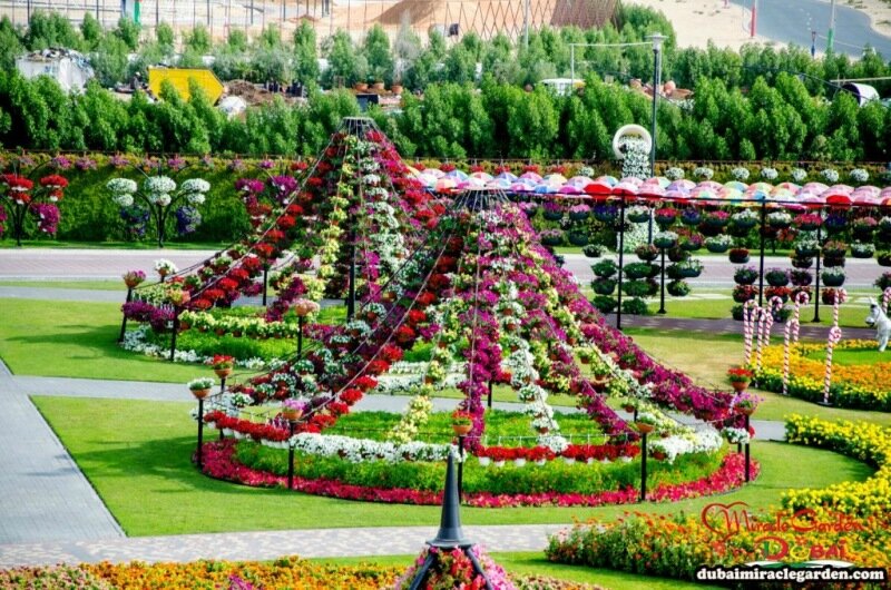 Самый большой цветочный сад в мире: Dubai Miracle Garden