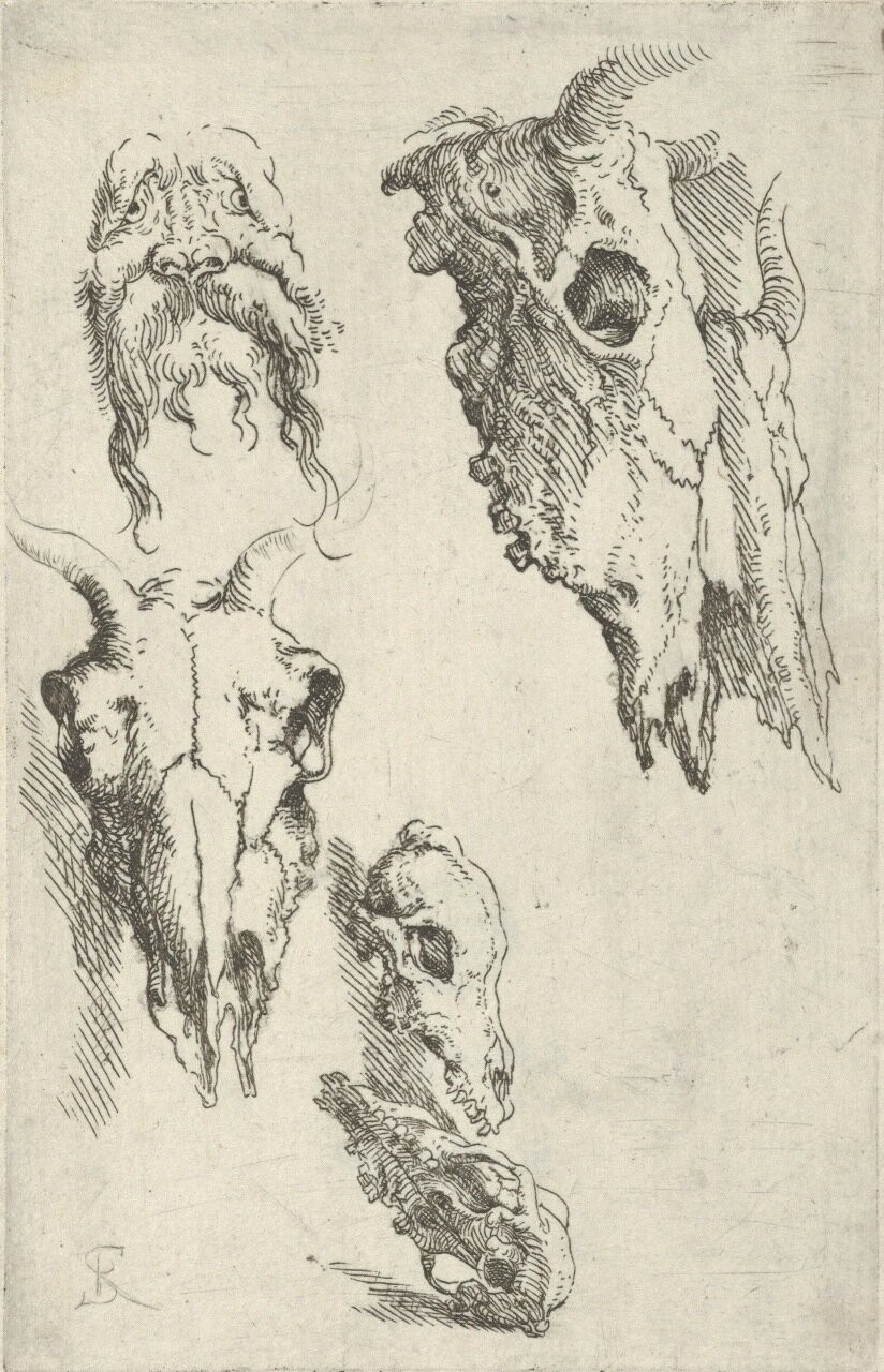 Three Ox Skulls, Two Horse Skulls and a Grotesque Head - Study for "Democritus in Meditation"