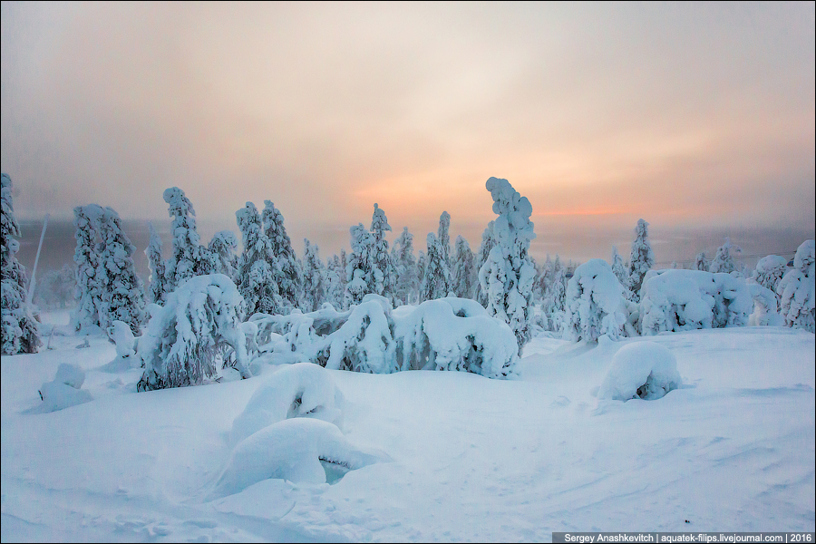 Зима в Лапландии / Winter in Lapland