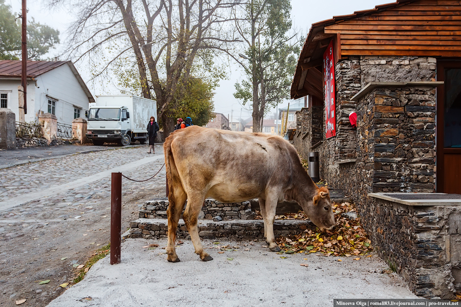 Степанцминда, Грузия