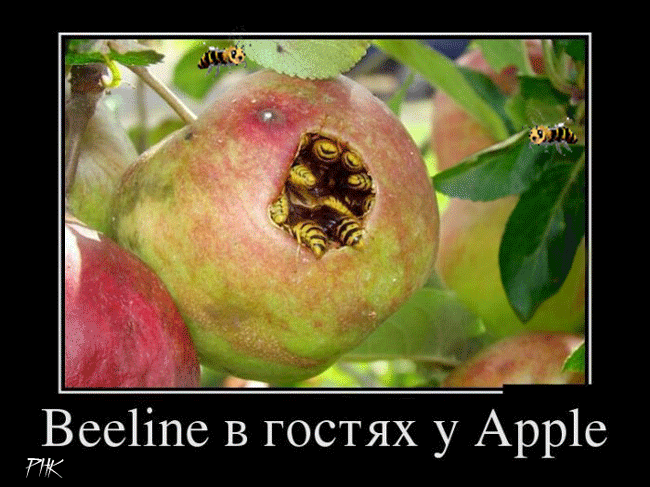 Beeline в гостях у Apple - красивые гифки Смешные гифки