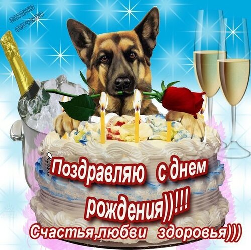 Яркая открытка с Днём рождения с собаками онлайн. Бесплатные живые открытки 2023
